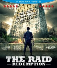 The Raid: Redemption (Blu-ray + DVD)