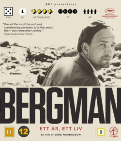 Bergman - Yksi vuosi, yksi elm BD