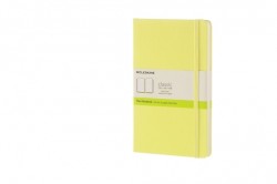 MOLESKINE NOTEBOOK LARGE PLAIN WILLOW GREEN HARD COVER