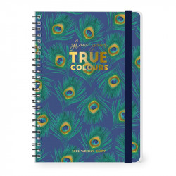 LARGE WEEKLY SPIRAL BOUND DIARY 12 MONTH 2022 - PEACOCK