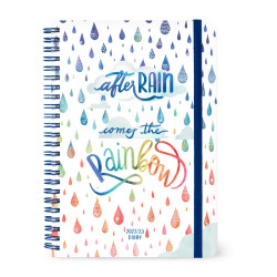 LARGE WEEKLY SPIRAL BOUND DIARY 16 MONTH 2022/2023 - AFTER RAIN