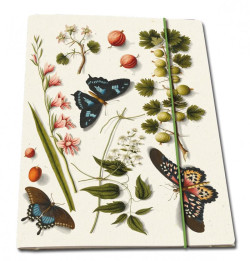 Portfolio folder: Flowers and butterflies, The Fitzwilliam Museum