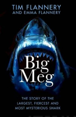 Big Meg : The Story of the Largest, Fiercest and Most Mysterious Shark