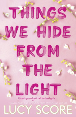 Things We Hide From The Light : the Sunday Times bestseller and follow-up to TikTok sensation Things We Never Got Over