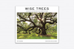 Wise Trees 2019 Calendar