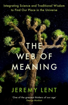 The Web of Meaning : Integrating Science and Traditional Wisdom to Find Our Place in the Universe