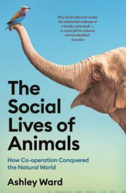 The Social Lives of Animals : How Co-operation Conquered the Natural World