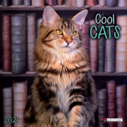 Cats 2021