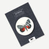 Label, Sticker & Tape Book Butterflies