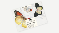 Watercolour Postcard Book Natural History