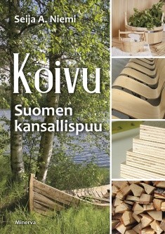 Koivu - Suomen kansallispuu